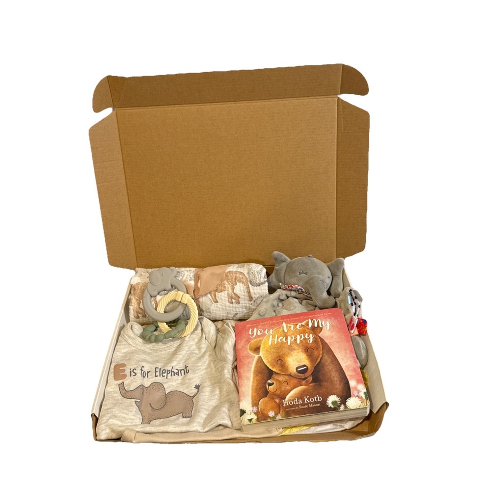 Baby Book Gift Box, Newborn Infant Essentials Present, Baby Animal Blanket Gifts
